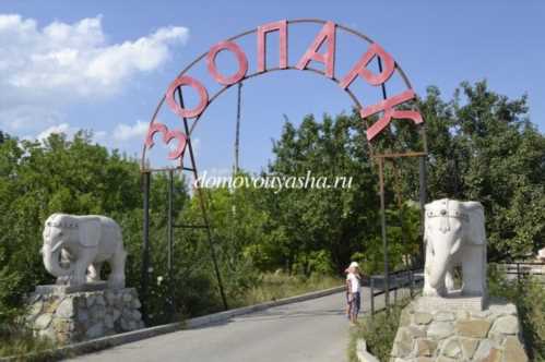 парк левів Тайган в криму