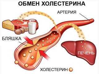 Продукти знижують рівень холестерину в крові